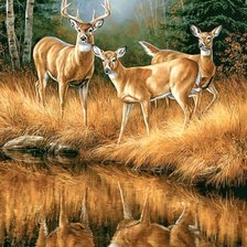 Схема вышивки «№2683211»