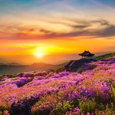 Схема вышивки «№2683557»