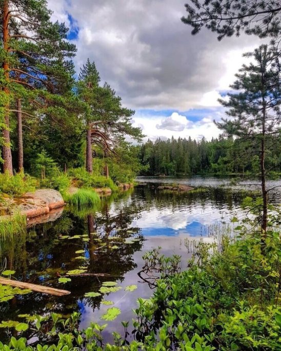 №2683773 - оригинал