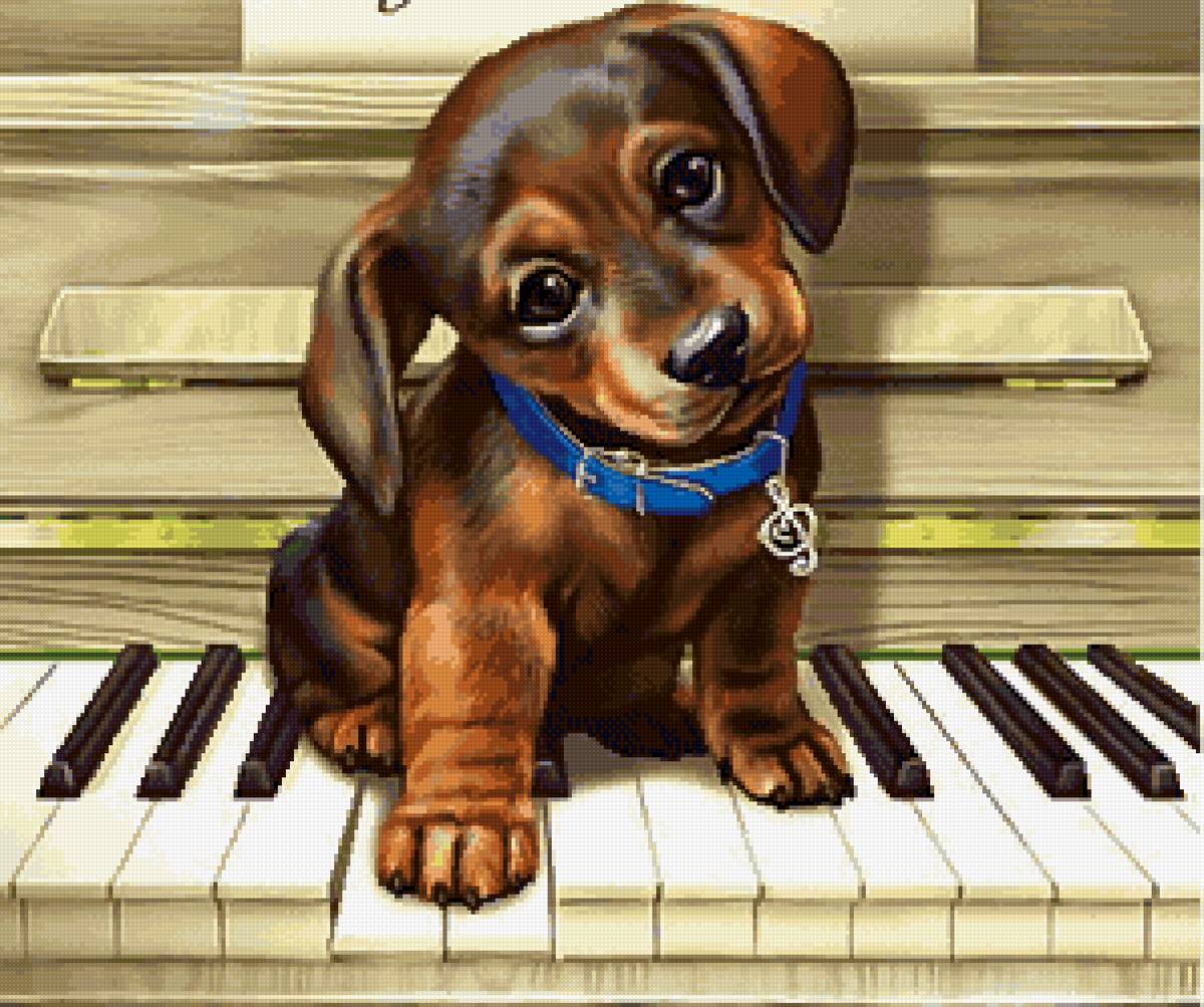 щенок-музыкант - предпросмотр