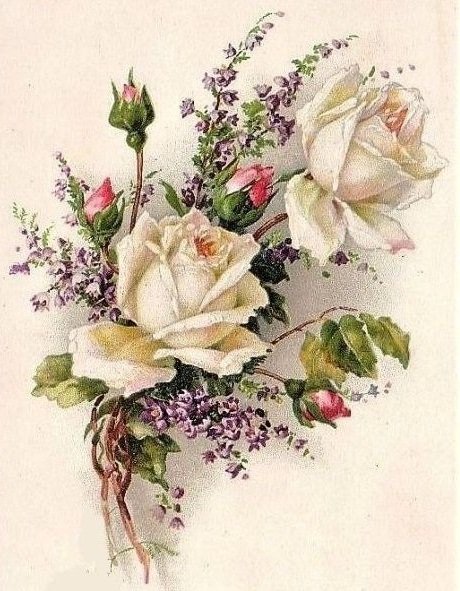 розы - оригинал