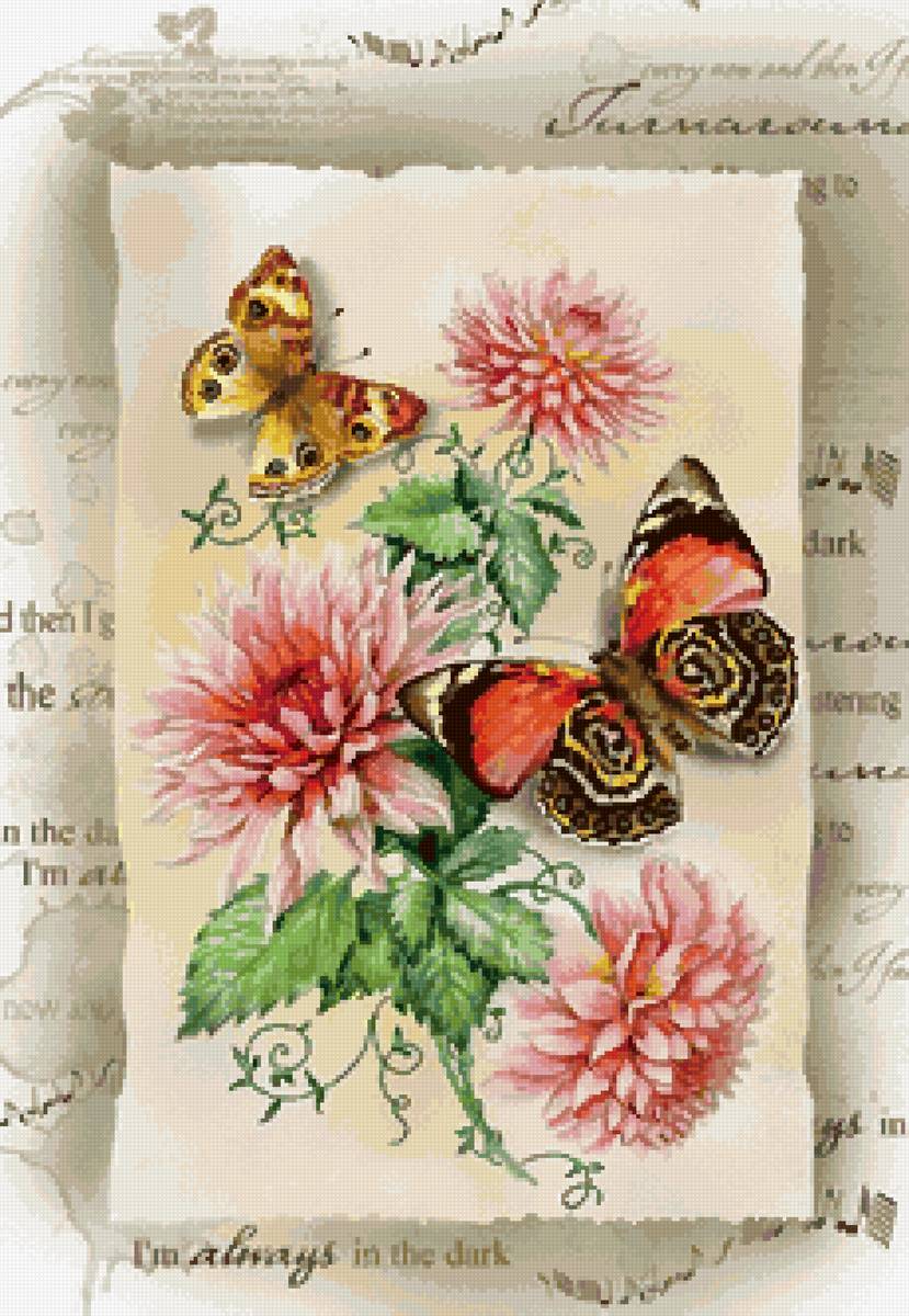 цветы - предпросмотр