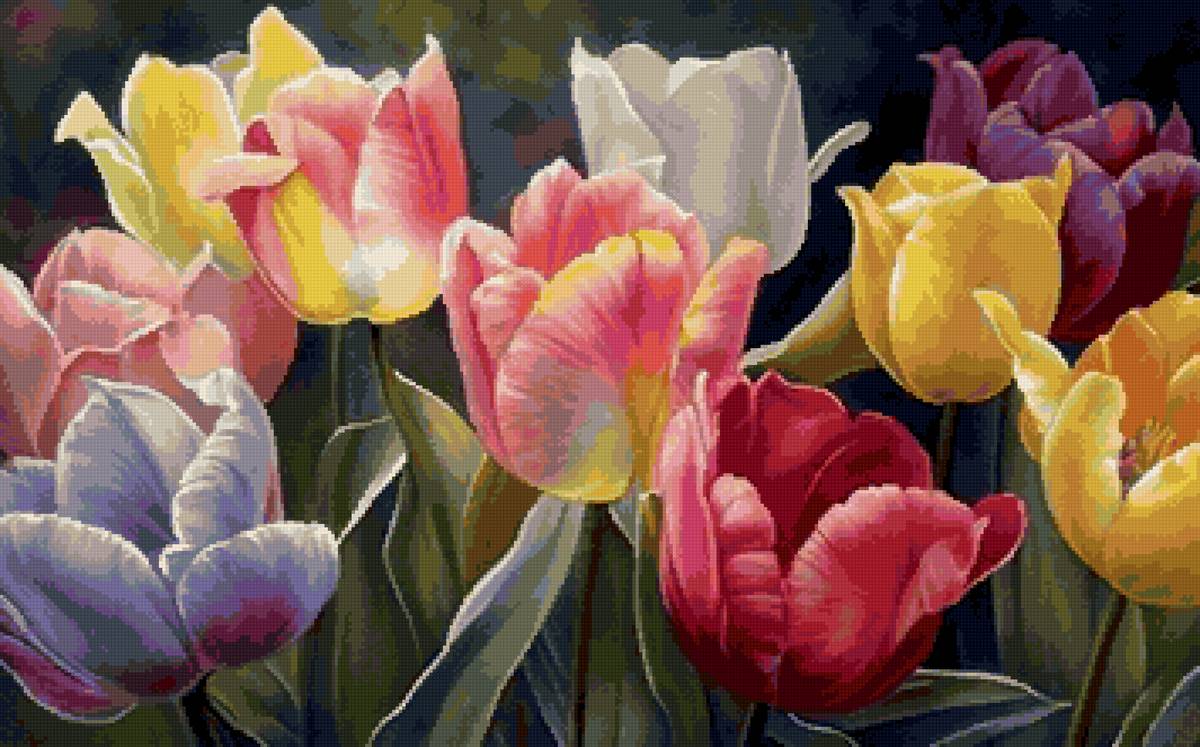 тюльпаны - предпросмотр