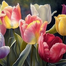 Схема вышивки «тюльпаны»