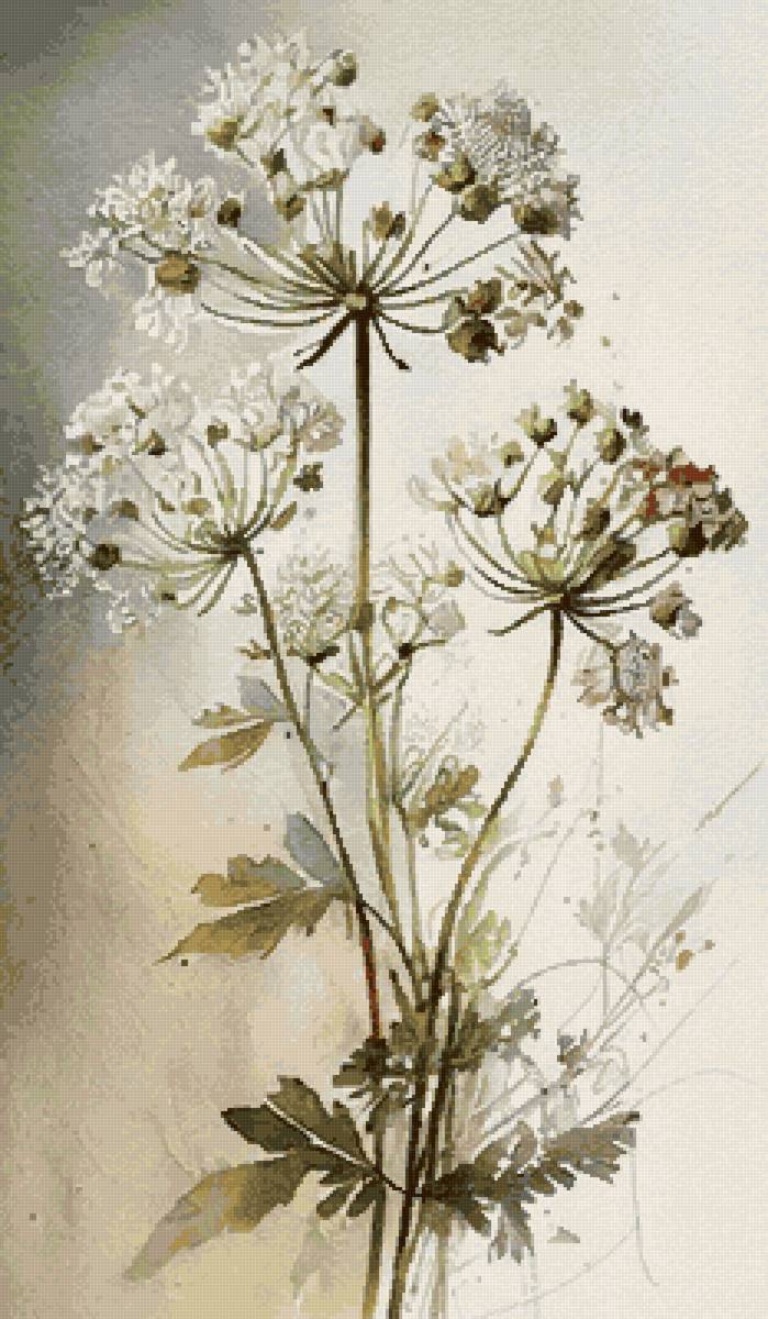 №2684895 - предпросмотр