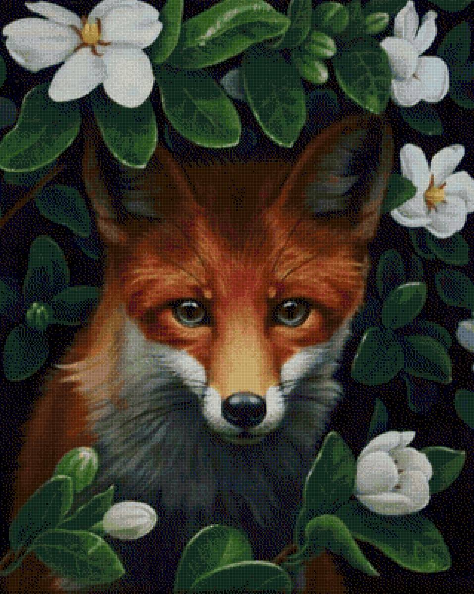 №2684958 - предпросмотр