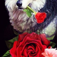 Схема вышивки «№2685130»