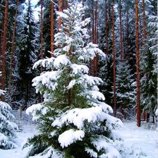 Схема вышивки «ёлочка»