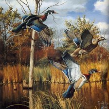 Схема вышивки «№2685419»