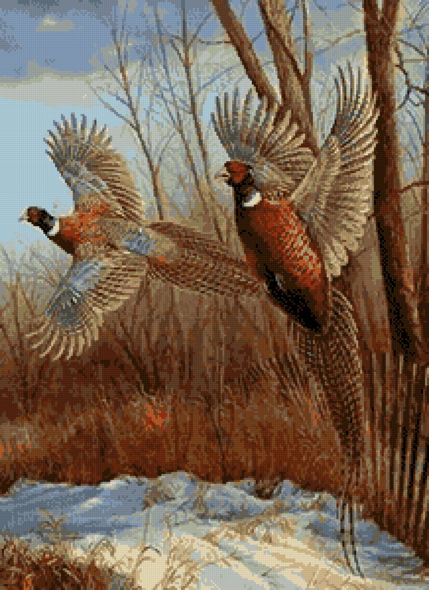 №2685437 - предпросмотр