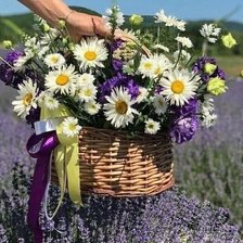 Схема вышивки «№2685463»