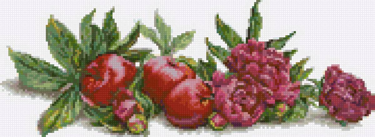 Яблоки и пионы - предпросмотр