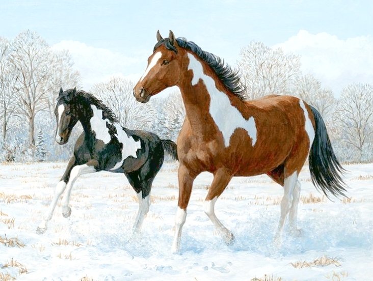 №2685687 - оригинал