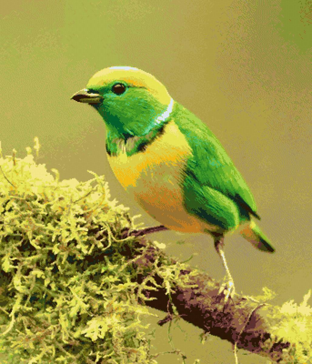 №2685695 - предпросмотр