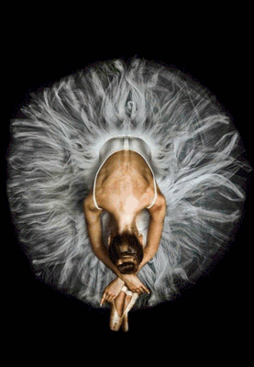 №2686051 - предпросмотр