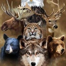 Схема вышивки «Тотемные животные»