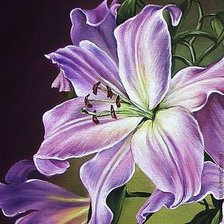 подушка лилия