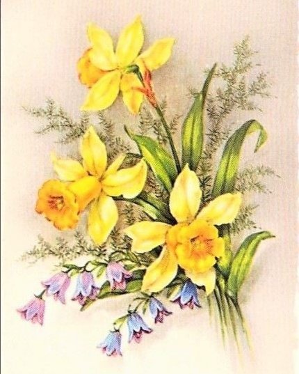 Cvece narcisi - оригинал