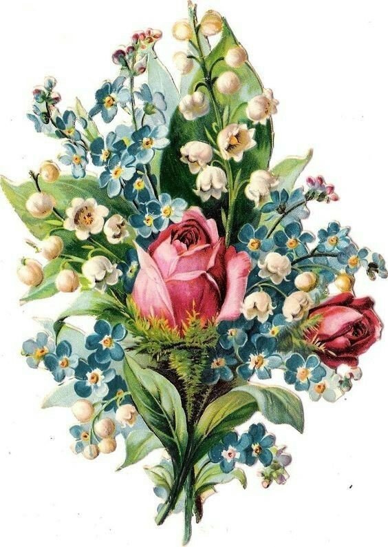 Cbece - оригинал