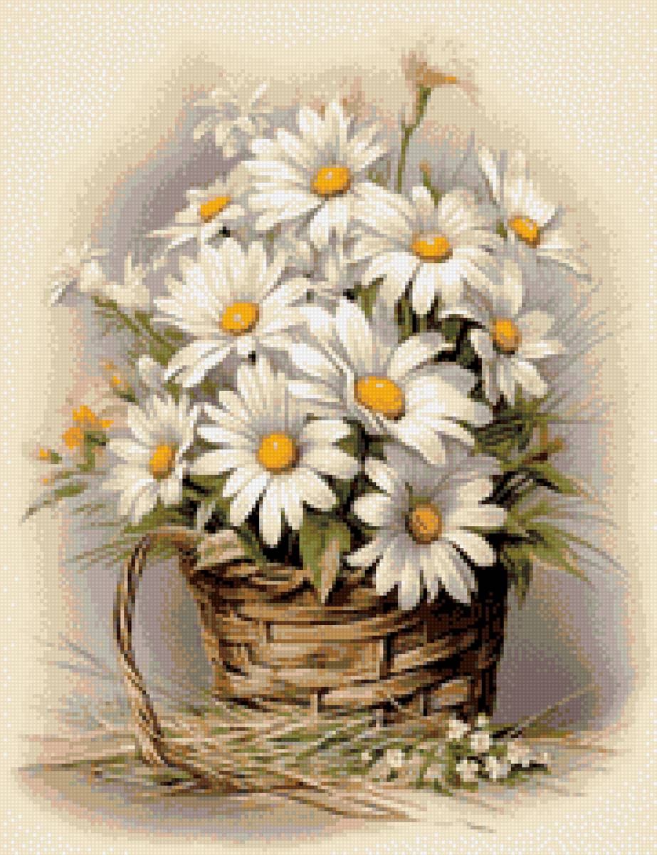 Cvece, bele rade - предпросмотр