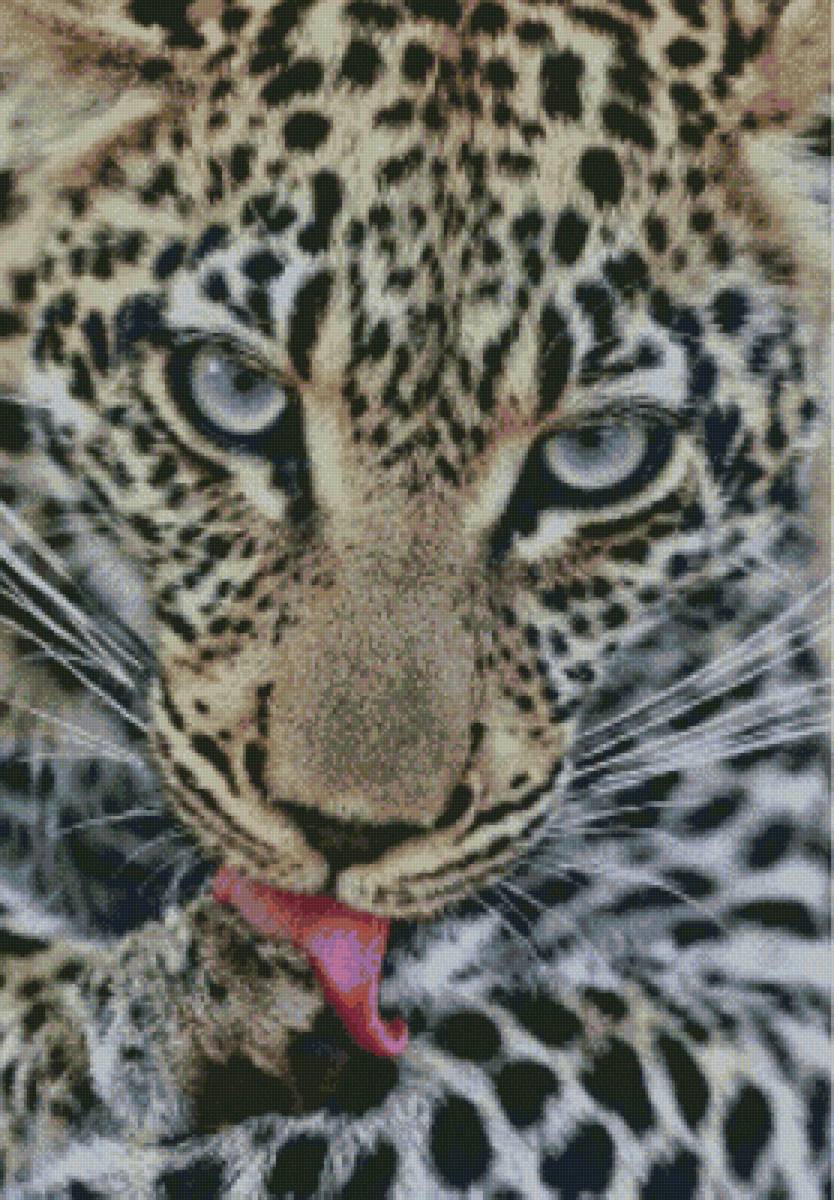 Леопард за умыванием - предпросмотр