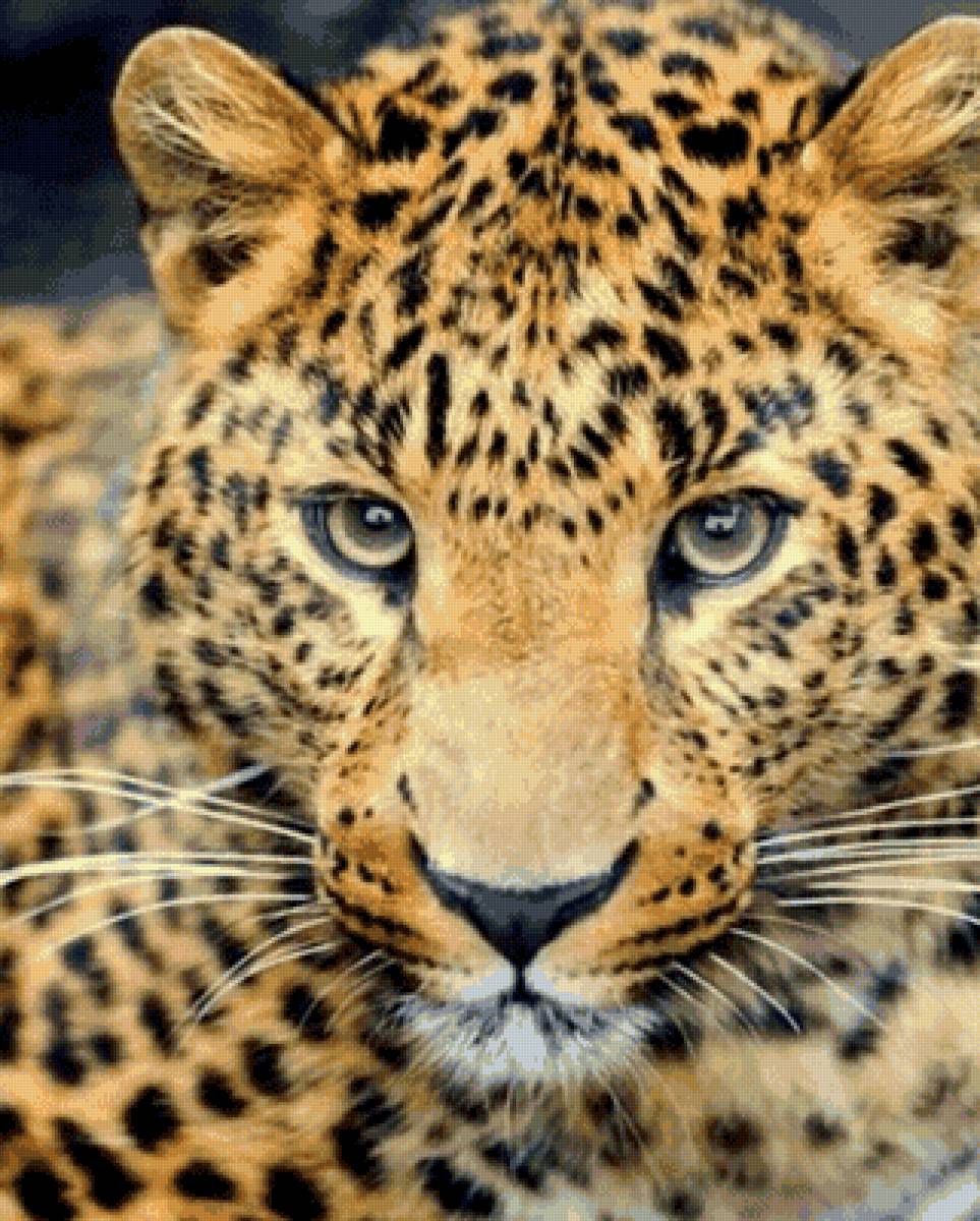 Партрет лео - предпросмотр