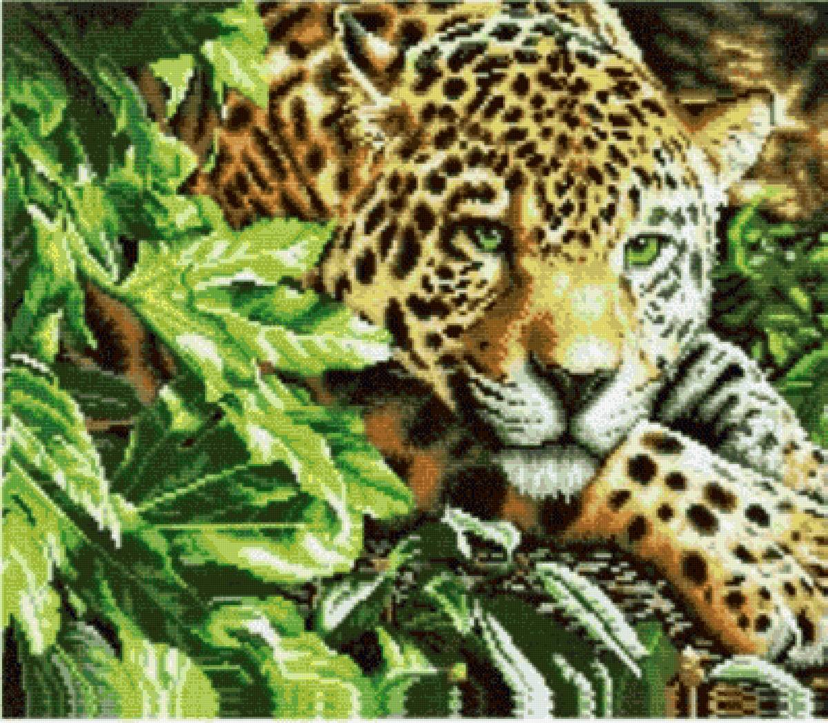 Лео в траве - предпросмотр