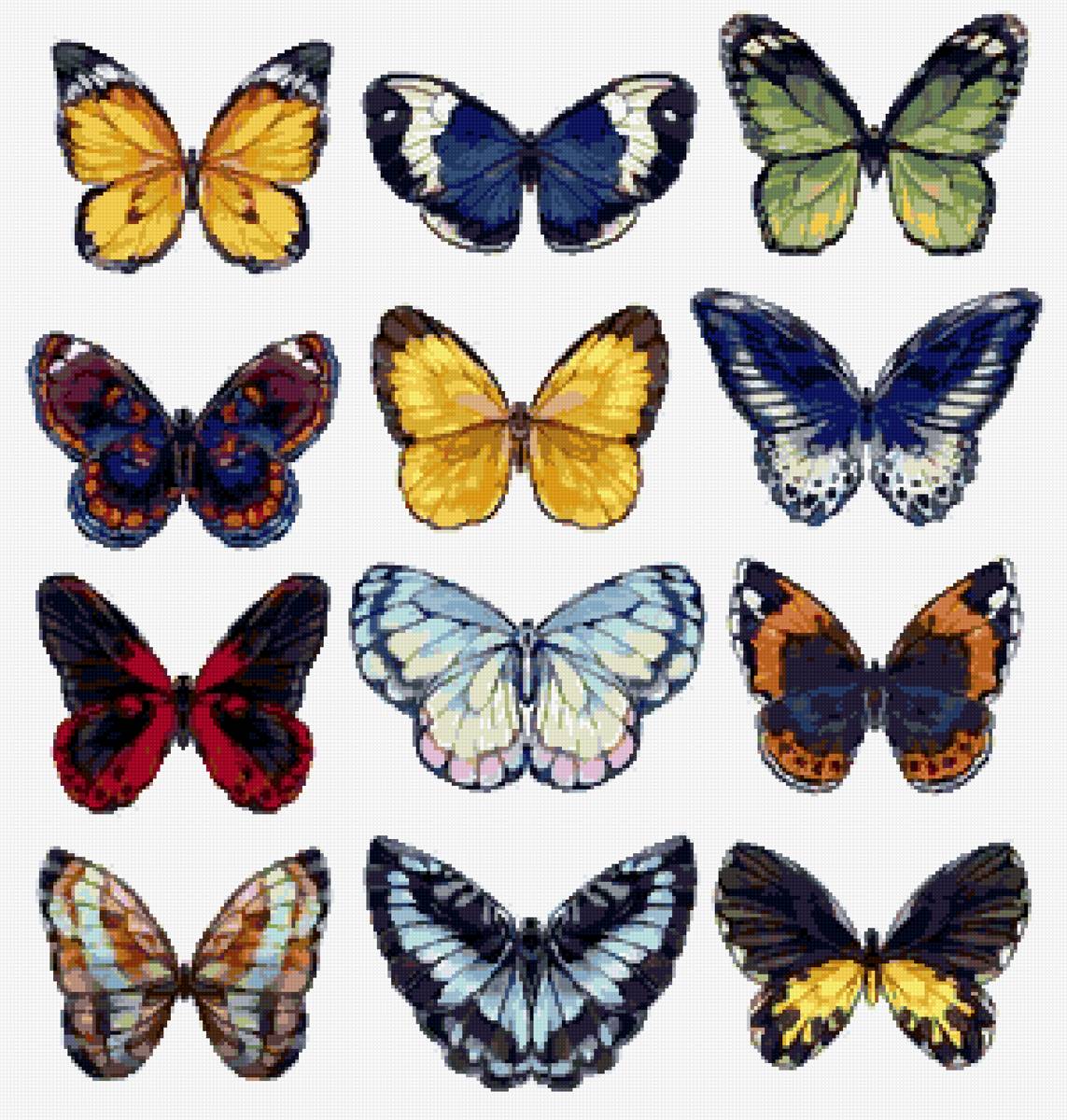 бабочки - предпросмотр