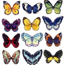 Схема вышивки «бабочки»