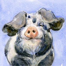 Схема вышивки «свинка»