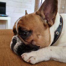 Схема вышивки «№2686945»