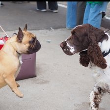 Схема вышивки «№2686966»