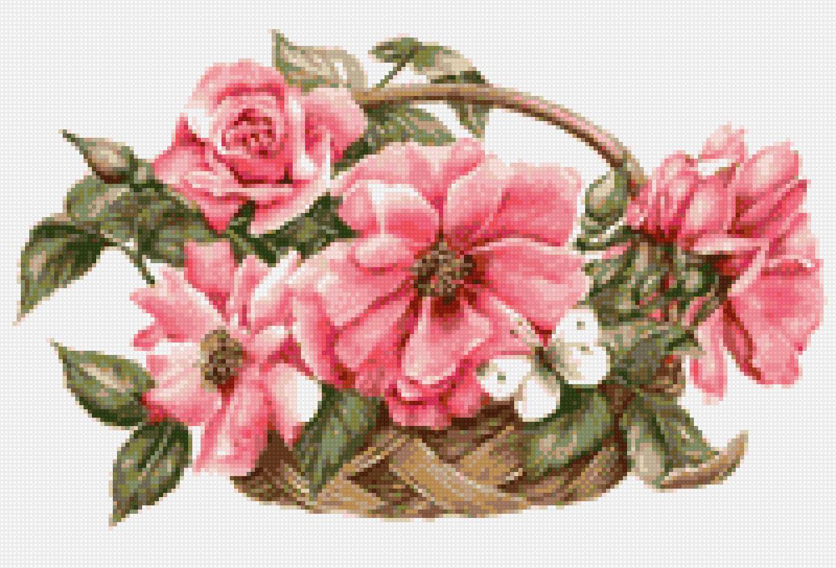 Ruze,, - предпросмотр