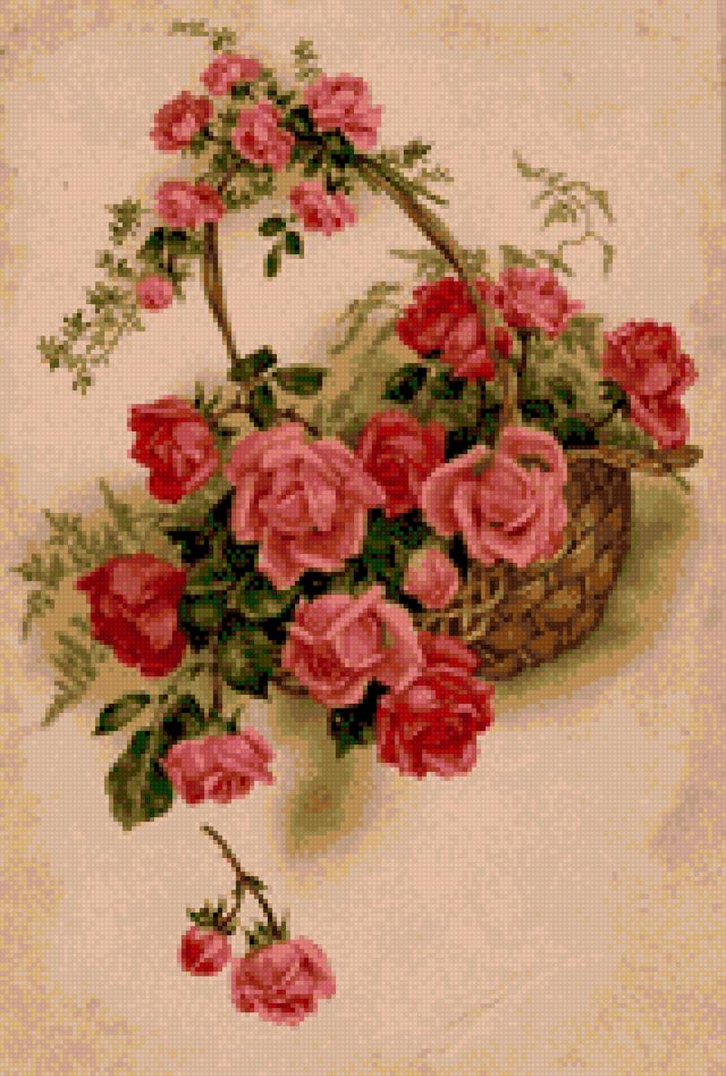 Ruze, cvece - предпросмотр