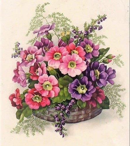 Anemone - оригинал