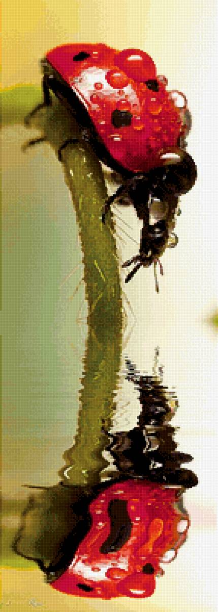 Отражение - предпросмотр