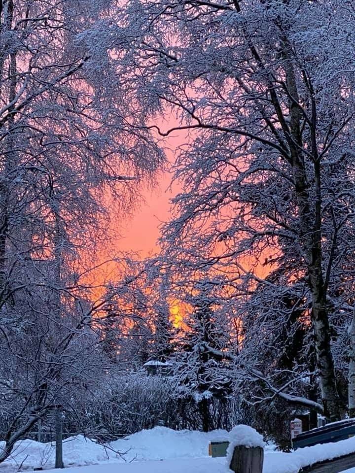 №2687361 - оригинал