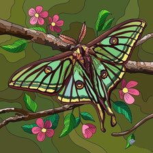 Оригинал схемы вышивки «бабочка» (№2687882)