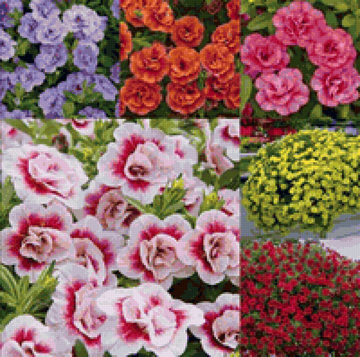 Калибрахоа5 - цветы, панно - предпросмотр