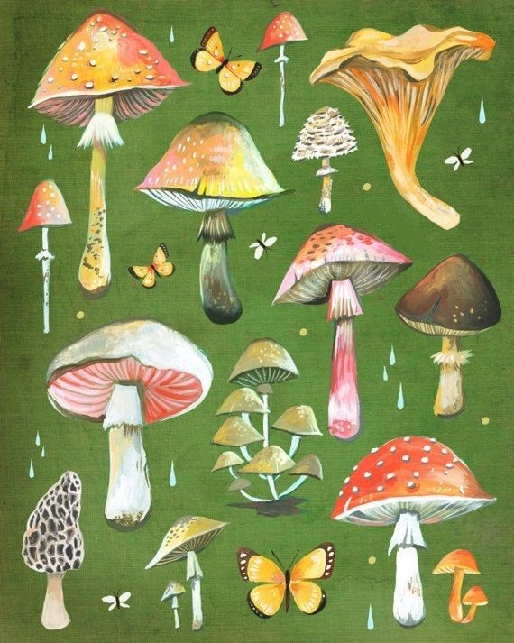 грибочки - оригинал