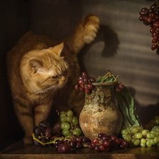 Схема вышивки «кот и виноград»