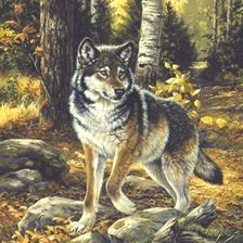 Оригинал схемы вышивки «Волк» (№2689154)