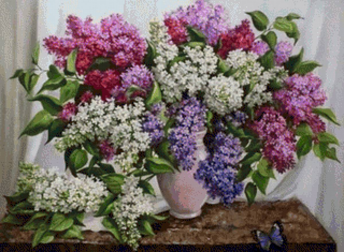 Букет сирени - букет, цветы, сирень - предпросмотр