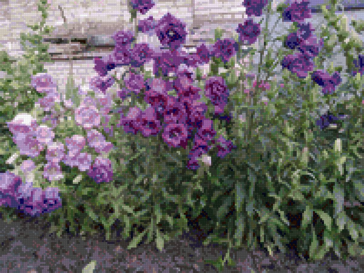 Колокольчики - цветы, природа - предпросмотр