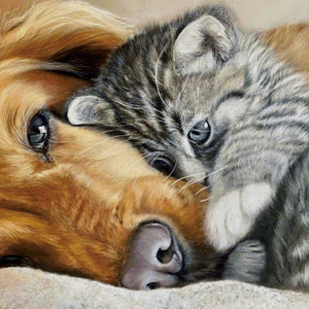 Кот с собакой - кот, собака, домашние животные - предпросмотр