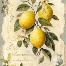 Оригинал схемы вышивки «Лимоны» (№2689938)