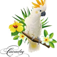 Схема вышивки «Попугай»