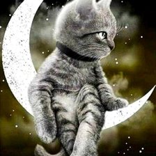 Схема вышивки «кот на луне»
