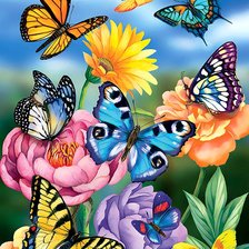 Схема вышивки «бабочки»