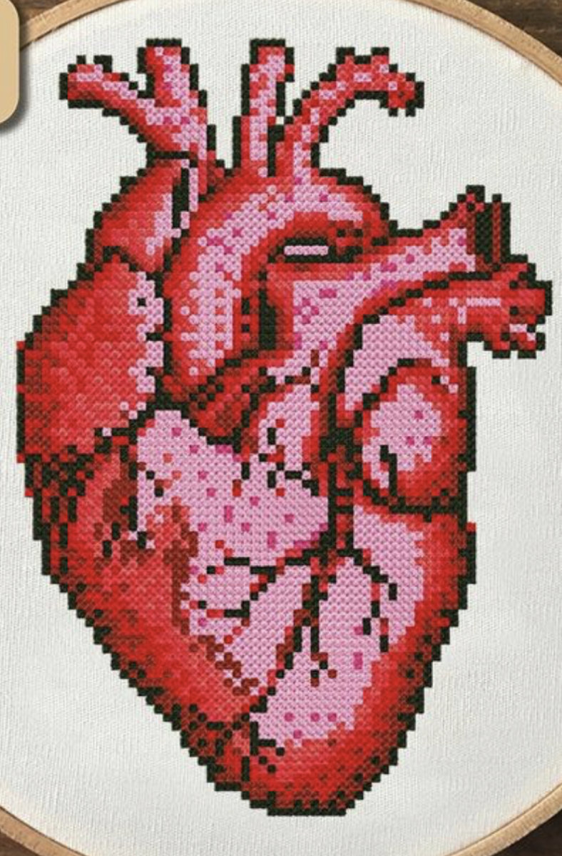 Сердце анатомия - оригинал